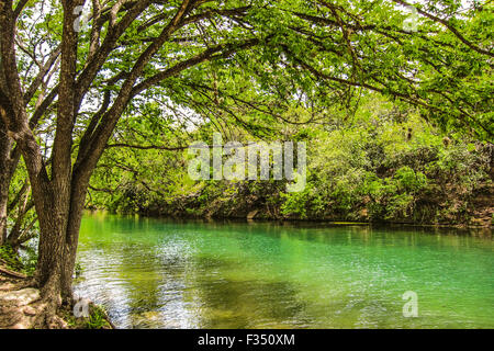 Barton Creek Nebenfluss ernährt sich der Colorado River fließt es durch Texas Hill Country in Lady Bird Lake Austin, Texas. Stockfoto