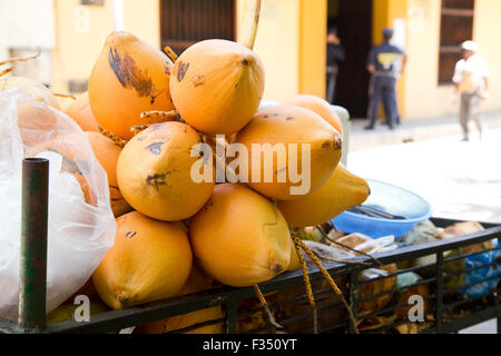 frische Kokosnüsse auf einem Straßenhändler Stand. Stockfoto