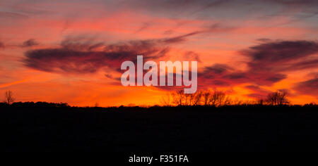 Sonnenuntergang über Winter Kornfeld, Berlin, Maryland Stockfoto