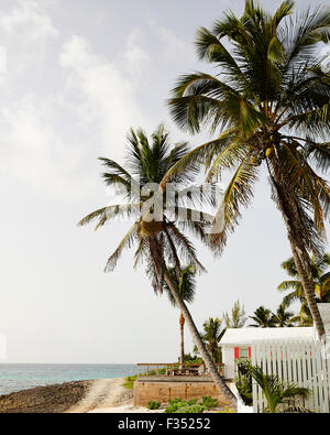 Blick auf das Meer auf den Bahamas Stockfoto
