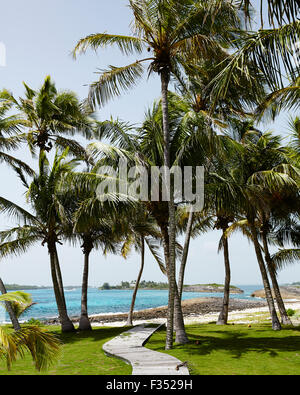 Blick auf den Strand auf den Bahamas Stockfoto