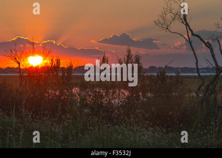 Sonnenuntergang auf Assateague Insel Stockfoto