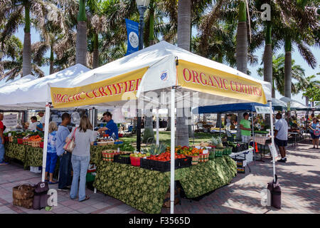 Fort Ft. Pierce Florida, Marina Square, Gazebo Park, Farmers Market, Stände, Stände, Shopping Shopper Shopper Shop Geschäfte Markt Märkte Marktplatz kaufen Stockfoto