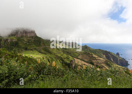 Misty Rocha Dos Bordões, ist eine geologische Formation zeichnet sich durch riesige Säulen aus Basalt, Las Flores Island Azoren Stockfoto