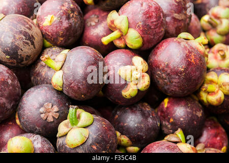 Mangostan-Frucht zum Verkauf auf Markt, Thailand Stockfoto