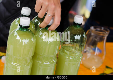 Winzerfest Stockfoto