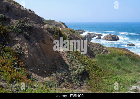 Bodega Head Halbinsel im Sonoma county State Park aus der pazifischen Küste von Kalifornien und felsige Küste Stockfoto