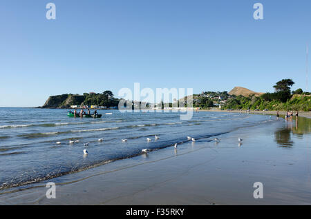 Surf Life Saving Team, Titahi Bay, Porirua, Wellington, Nordinsel, Neuseeland Stockfoto