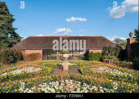 Die Royal Horticultural Society (RHS) Gärten in Wisley, Surrey, UK. Narzissen und Hartriegel im Frühjahr Stockfoto