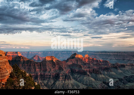 Letzte Licht auf den drei Tempeln (Deva, Brahma, Zoraster) von Bright Angel Point entlang der North Rim von Arizona Grand Canyon. Stockfoto