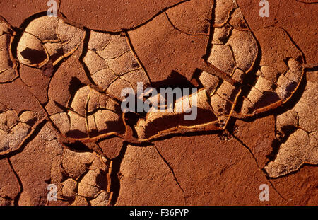 GETROCKNETER UND ZERRISSENER SCHLAMM INFOLGE SCHWERER DÜRREBEDINGUNGEN IM NORDWESTEN AUSTRALIENS. Stockfoto