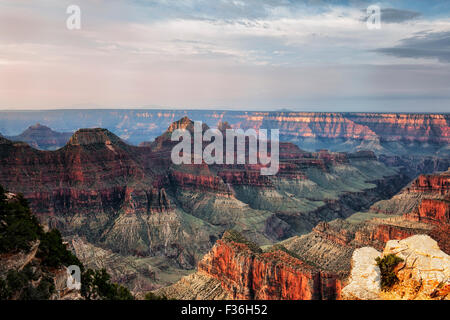 Licht des frühen Morgens wärmt den North Rim von Bright Angel Point in Arizona Grand Canyon National Park. Stockfoto