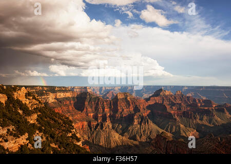 Vorbeifahrenden Duschen und Sonne bricht Erstellen dieser Regenbogen über den North Rim von Arizona Grand Canyon National Park. Stockfoto