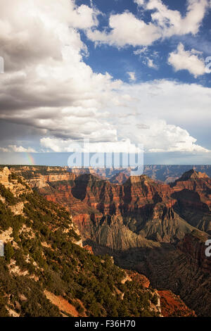 Vorbeifahrenden Duschen und Sonne bricht Erstellen dieser Regenbogen über den North Rim von Arizona Grand Canyon National Park. Stockfoto