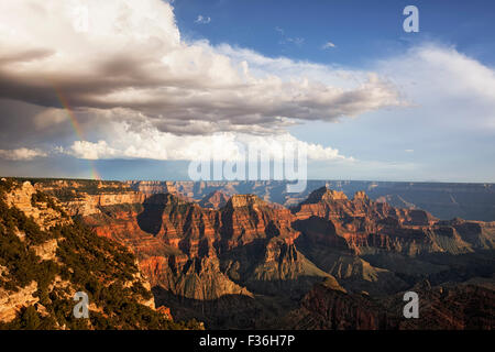 Vorbeifahrenden Duschen und Sonne bricht Erstellen dieser Regenbogen über den North Rim von Arizona Grand Canyon National Park. Stockfoto