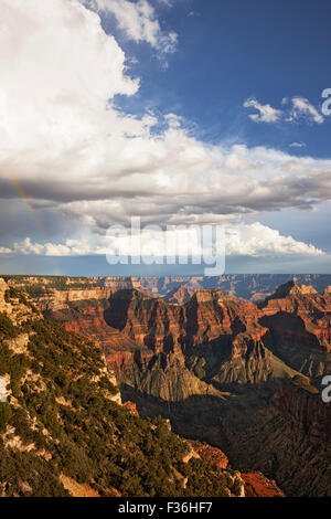 Vorbeifahrenden Duschen und Sonne bricht Erstellen dieser Regenbogen über den North Rim von Arizona Grand Canyon National Park. Stockfoto