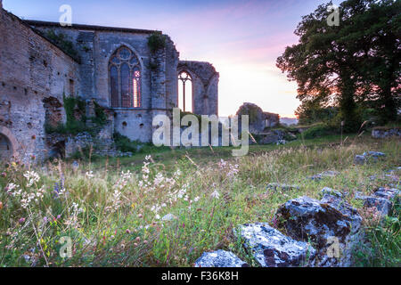Abtei Nouvelle bei Sonnenaufgang mit Frühlingsblumen und alten Steinmauer Stockfoto
