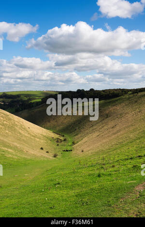 Die trockene Kreide Tal des Teufels Deich in South Downs National Park, West Sussex, Großbritannien Stockfoto