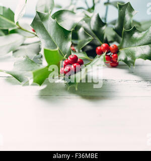 Stechpalme (Ilex Aquifolium) Blätter und Früchte Stockfoto