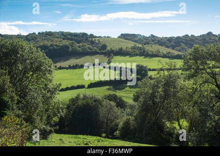 Slad ist ein Dorf in den Cotswolds, in der Nähe Painswick und Stroud Gloucestershire, Großbritannien. Die Heimat von Fomerly Autor Laurie Lee, Apfelwein mit Rosie schrieb. Stockfoto