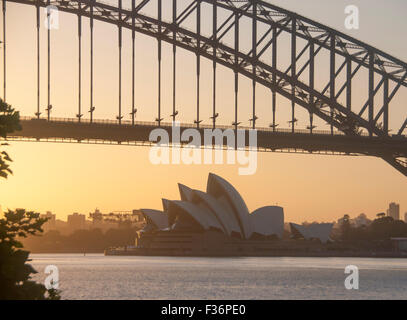 Sydney Opera House und Harbour Bridge vom Blues Point Reserve bei Dawn Sonnenaufgang Sydney New South Wales NSW Australia Stockfoto