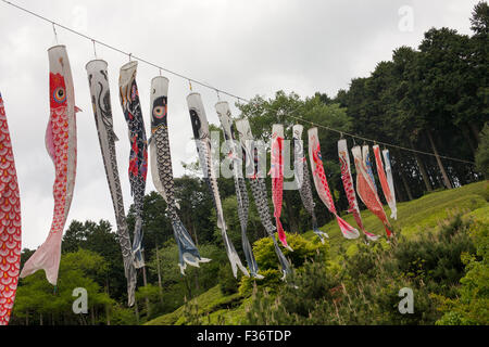 Bunte Vielfalt von Koinobori Fisch Drachen an einem Draht mit grünen Wald im Hintergrund gerade nach unten hängen Stockfoto