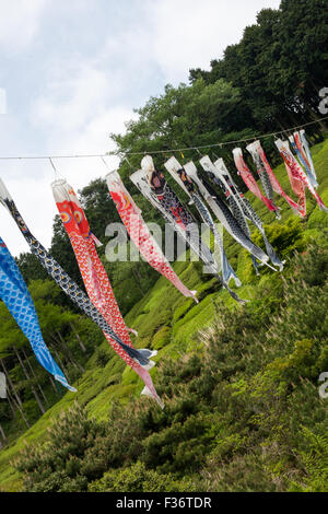 Bunte Vielfalt von Koinobori Fisch Drachen hängen an einem Draht mit grünen Wald im Hintergrund blauer Himmel Stockfoto