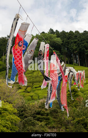 Bunte Vielfalt von Koinobori Fisch Drachen hängen an einem Draht mit grünen Wald im Hintergrund Stockfoto