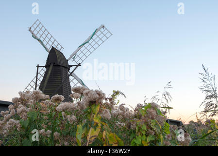 Abend-Windmühle am Wicken Fen Stockfoto