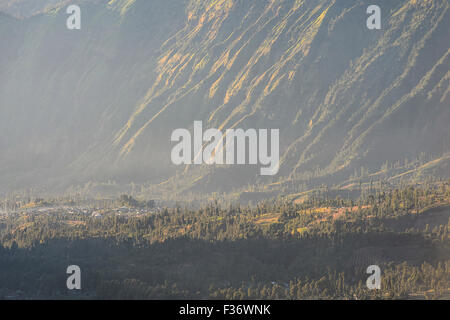 Highland Cemoro Lawang Dorf im Bromo Tengger Semeru National Park, Ost-Java, Indonesien. Stockfoto