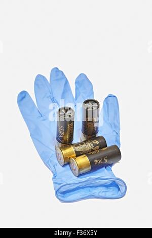 12 Gauge Ga Schrotflinte Patronen in Blue forensische Latexhandschuh Stockfoto