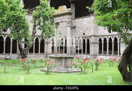 Alter Brunnen im Museo di Viterbo Garten in Viterbo, Italien Stockfoto