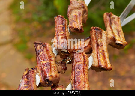 Drei Spieße mit gegrillten Rippchen auf Natur Stockfoto