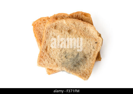 Nahaufnahme des schwarzen Schimmel auf ein Brot, isoliert auf weiss Stockfoto