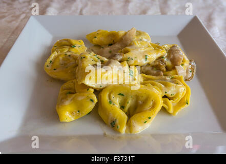 Italienischer Pasta "Tortelloni" mit Pilzen (Steinpilze), Sahne, Parmesan und Kräutern, serviert auf weißem Teller im Restaurant. Stockfoto