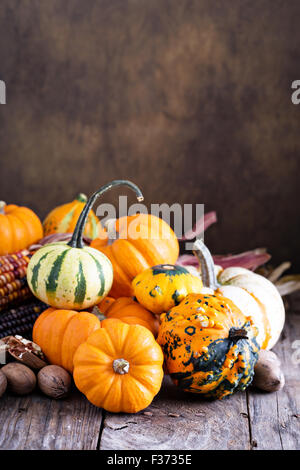 Kürbisse, Mais und verschiedene Squash auf einem rustikalen Tisch Stockfoto