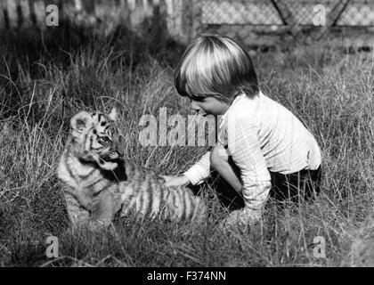 26. Dezember 1974 - John Aspinall Sohn Bassa, spielt mit einem Nebelparder Cub auf dem Gelände des Howletts schöne Zoo Park in Antebury. © Keystone Bilder USA/ZUMAPRESS.com/Alamy Live-Nachrichten Stockfoto