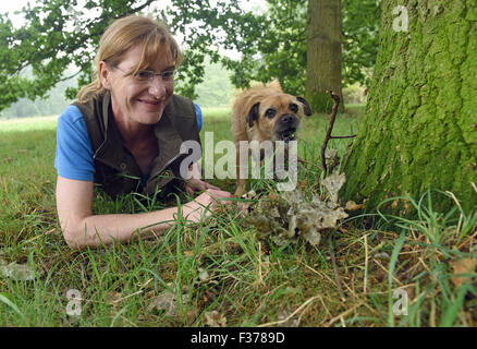 Exklusiv: Trüffel Experte Sabine Hoernicke posiert mit ihrem Hund "Jule" (eine Mischung aus Pekinese und Border Terrier) in einem Wald in Bonn (Nordrhein-Westfalen), Deutschland. Sabine Hoernicke gibt die Trüffel Hund Trainingsseminar "Trüffel suchen mit Hunden". Ziel des Seminars ist für die Hundebesitzer zu finden die Bereiche wo die Trüffel wachsen in jeder Umgebung. Der Hund lernt, den Duft von Trüffeln zu erkennen, um die genaue Lage der Reife Trüffel zu lokalisieren. Foto: Horst Ossinger/dpa Stockfoto