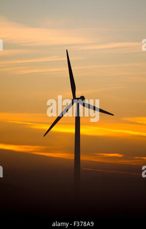 UK Dawn Wetter. Diesig, neblig, dunstiger Morgen bei Sonnenaufgang, über die drei 260 "hohe Turbinen, erneuerbare Energien Windpark auf dem Land vom Bauernhof Klippe, mawdesley Moss Windpark. Die umstrittenen Pläne diese drei privaten Rund- und kleinen Maßstab zu installieren, Windkraftanlagen in Chorley Dorf löste eine verärgerte Antwort von Bewohnern zitieren Umweltbelange Stockfoto