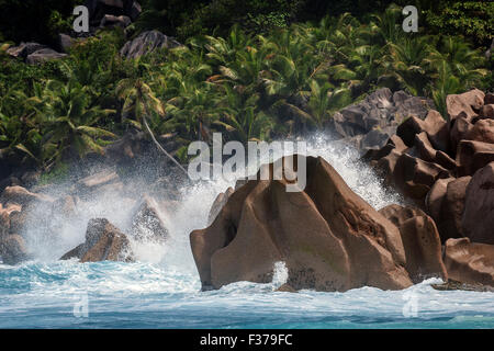 Starke Brandung, aufgewühlten Meer, Granitfelsen, Palmen hinter Grand Anse, Insel La Digue, Indischer Ozean, Seychellen Stockfoto