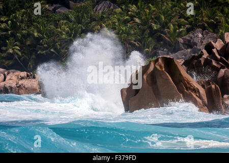 Starke Brandung, aufgewühlten Meer, Granitfelsen, Palmen hinter Grand Anse, Insel La Digue, Indischer Ozean, Seychellen Stockfoto