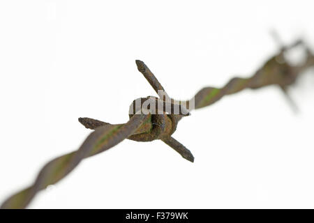 Nahaufnahme von einem alten, verrosteten Stück Barbwire (Stacheldraht). Grenze-Konzept. Flache d o f. Stockfoto