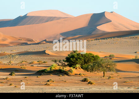 Sanddünen in der Wüste Namib, Namib-Naukluft-Nationalpark, Sossusvlei, Namibia Stockfoto