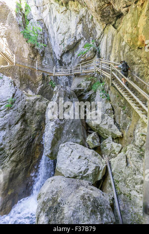 Gang in die Bärenschützklamm Mixnitz, Steiermark, Österreich Stockfoto