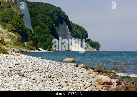 Kreidefelsen, Kiel Küste, Rügen, Ostsee, Mecklenburg-Western Pomerania, Deutschland Stockfoto