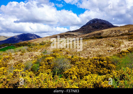 Diamant-Hügel, Nationalpark Connemara, County Galway, Irland Stockfoto