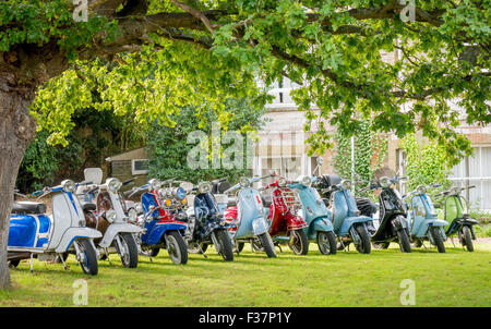 Sammlung von klassischen Lambretta und Vespa Roller Stockfoto