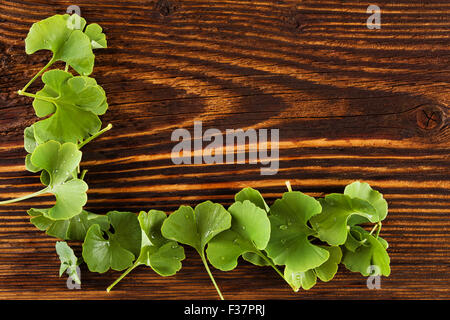 Ginkgo Biloba Blätter auf braunem Holz Hintergrund, Ansicht von oben. Alternative Kräutermedizin. Stockfoto