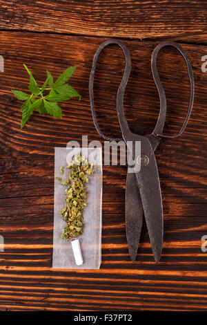 Marihuana-Missbrauch. Cannabis-Knospe, Gelenke, Rollen Papier auf Holz strukturierten Hintergrund. Stockfoto