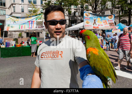 Ein Ara sitzen am Arm des Besitzers - USA Stockfoto